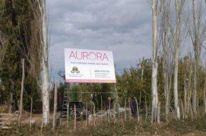 FOTO cartel autora