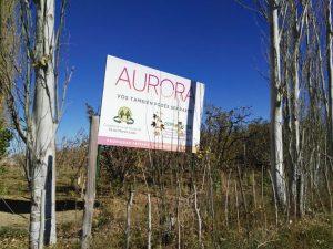 Aurora